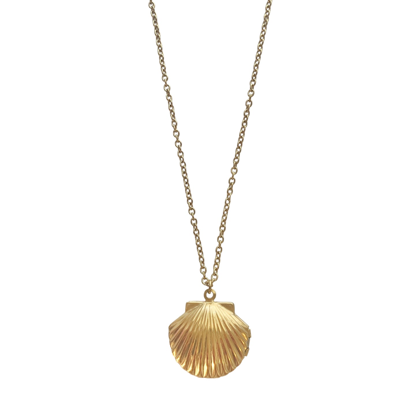 Shell Locket Chain Necklace