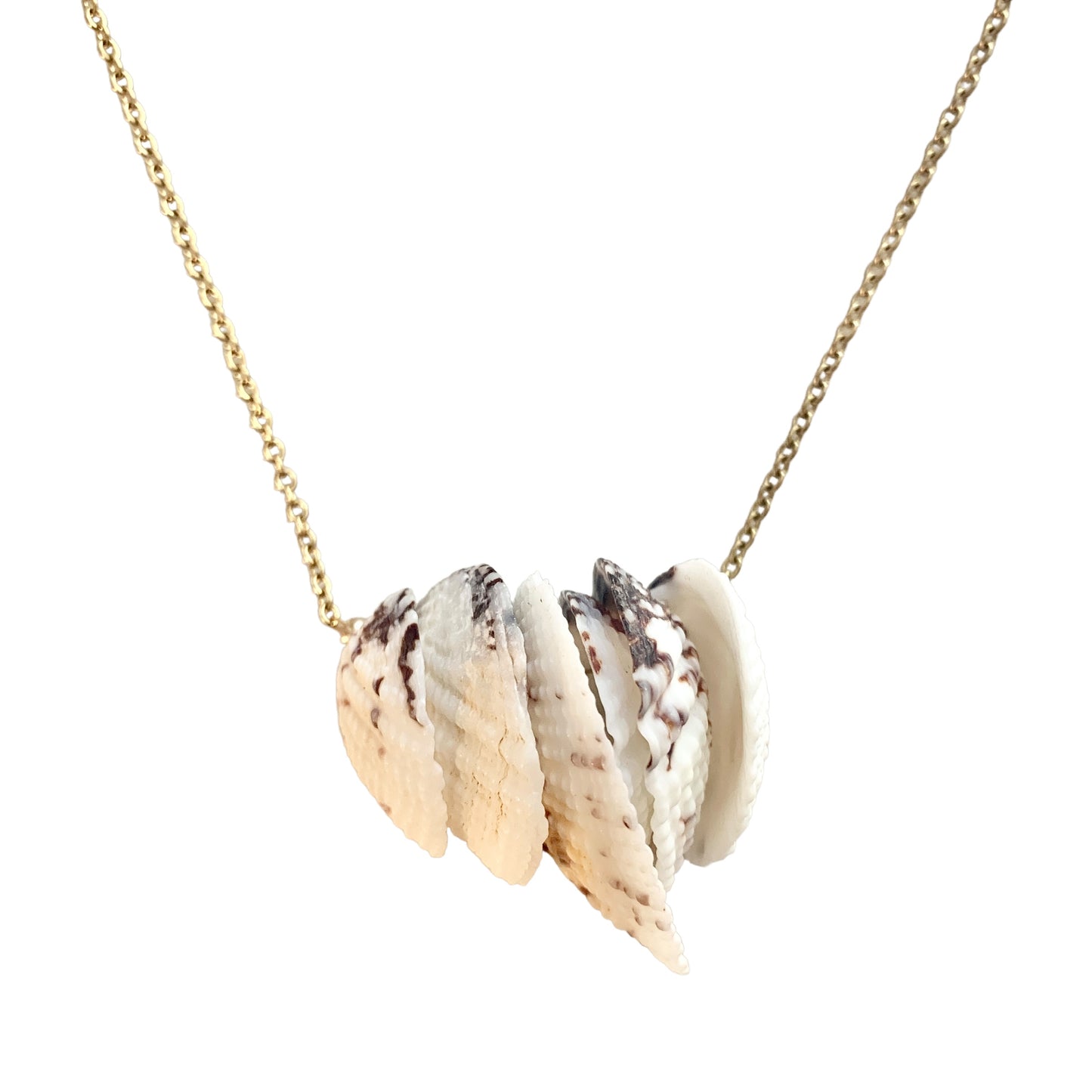 Shell Cluster Chain Necklace